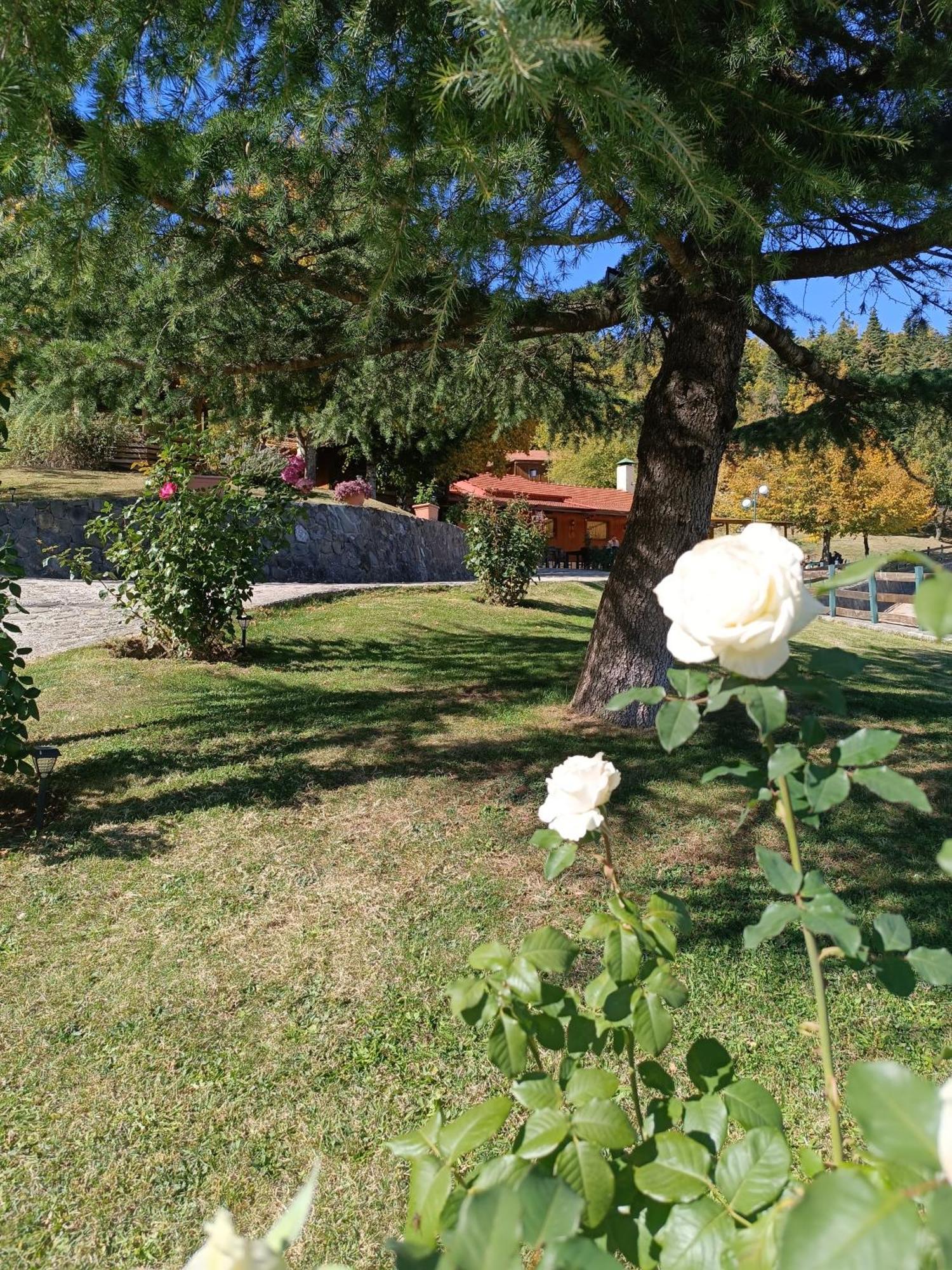Livadaki Village Megali Kapsi Exterior foto